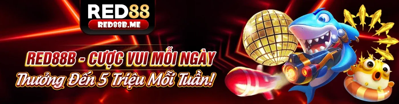 Hình ảnh giới thiệu v6bet - Nền tảng cá cược trực tuyến hàng đầu